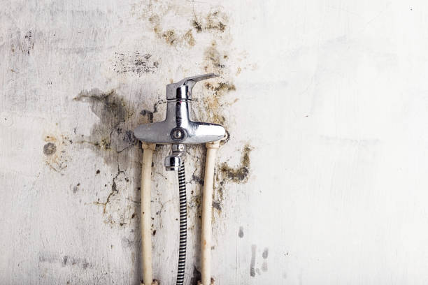 Best Post-Flood Mold Remediation in Fallsburg, NY